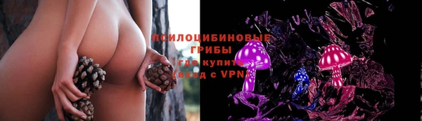 PSILOCYBIN Балахна